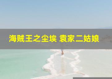 海贼王之尘埃 袁家二姑娘